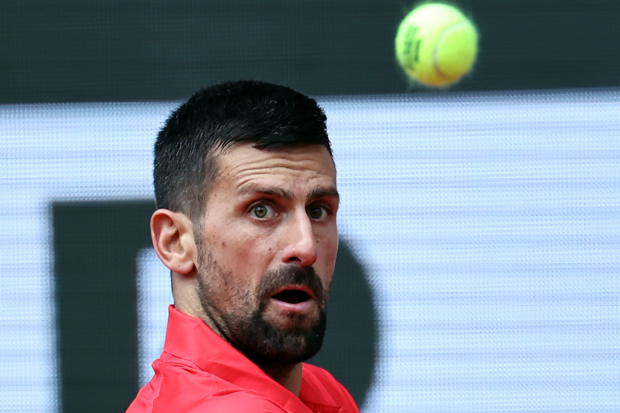 Djokovic regarde le ballon.
