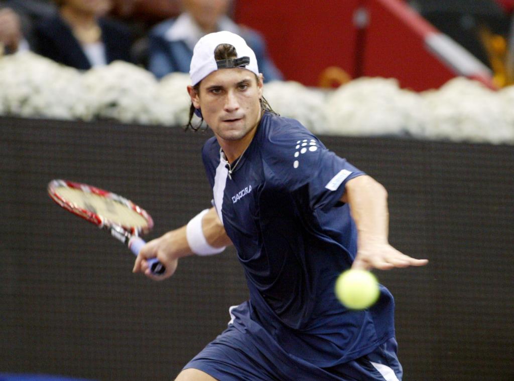 David Ferrer